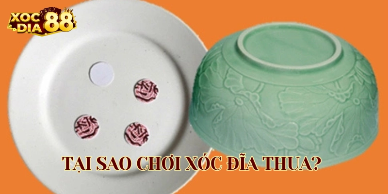 Tại Sao Chơi Xóc Đĩa Thua? Nguyên Nhân Và Cách Khắc Phục Tại Sao Chơi Xóc Đĩa Thua lý do là gì